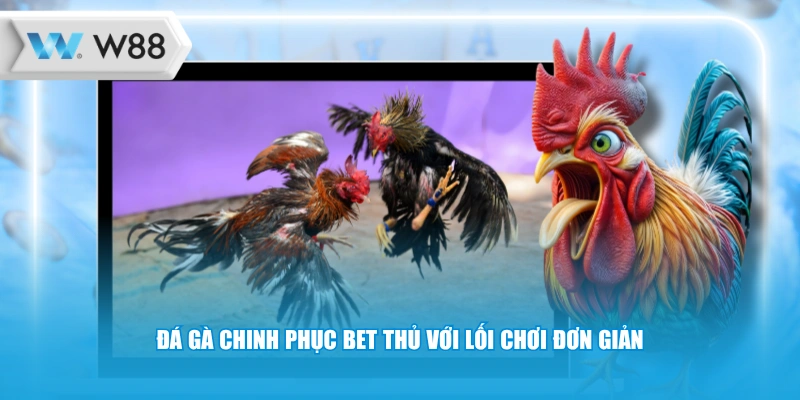 Đá gà chinh phục bet thủ với lối chơi đơn giản 